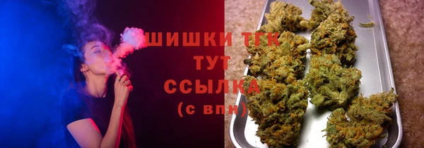 прущие грибы Приозерск
