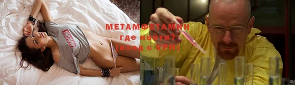 прущие грибы Приозерск