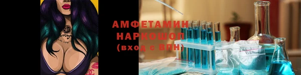 прущие грибы Приозерск