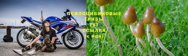 мет Алзамай