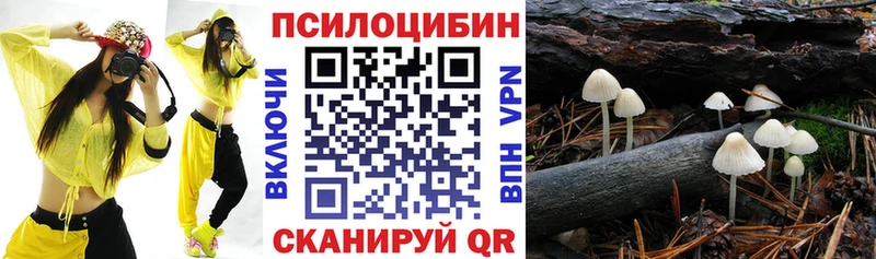 Псилоцибиновые грибы мицелий  Жирновск 